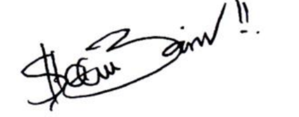 bentuk tanda tangan berornamen berpotensi influencer